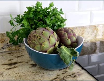 CALYPSO. Private apartment in old Antibes with large terrace AC, WIFI